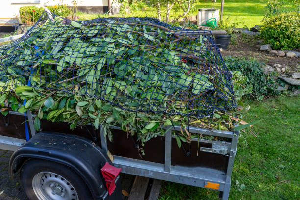 Best Dumpster Rental Services  in Calumet Park, IL